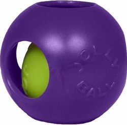 Teaser Ball 6 Inch Purple