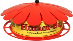 Humm Bug Hummingbird Protein Wild Bird Feeder 12.2 inch x 11 inch x 5.75 inch