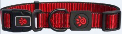 3/4 inch x 13.5 -19 inch Martini Collar Red