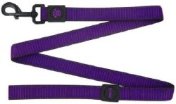 4ft Martini Bean Leash Purple Large