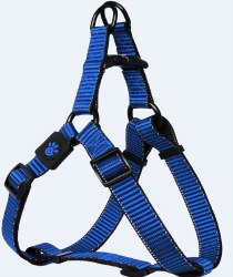 5/8 inch x 18-25 inch Martini Harness Blue