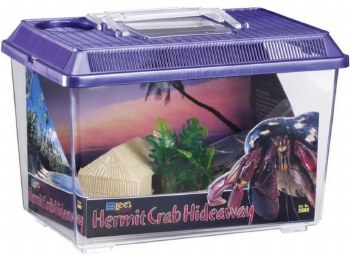 Lee's Hermit Crab Hideaway Kit, Assorted Colors, Medium