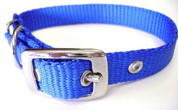 Hamilton Single Thick Nylon Deluxe Dog Collar, 12 inch, Blue