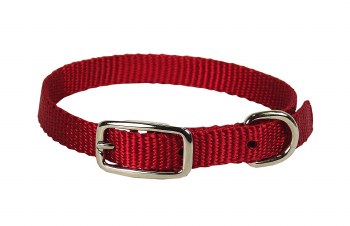 Hamilton Single Thick Nylon Deluxe Dog Collar, 12 inch, Red