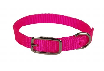 Hamilton Single Thick Nylon Deluxe Dog Collar, 14 inch, Hot Pink