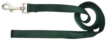 Hamilton 3/4 inch Single Thick Nylon Lead with Swivel Snap, 6ft long, Green