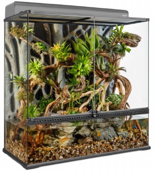 Exo Terra High Glass Terrarium 36 inch x 18 inch x 36 inch