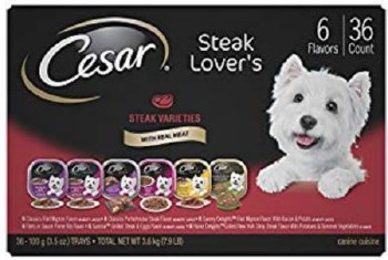 Cesar Canine Cuisine Steak Lovers Variety Pack Wet Dog Food case of 36, 3.5oz