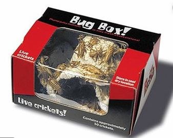 The Bug Company Bug Box of Live Crickets Reptile Food 25 count
