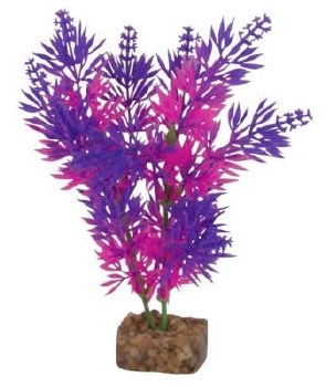 GloFish Multi Color Aquarium Plant, Pink Purple, Medium