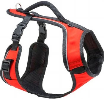 Petsafe Easy Sport Dog Harness, Orange, Small