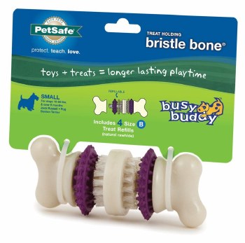 Petsafe Busy Buddy Bristle Bone Dog Toy, Purple, Small