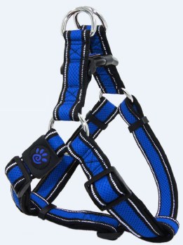 Athletica AirStep Harness Blue Extra Large