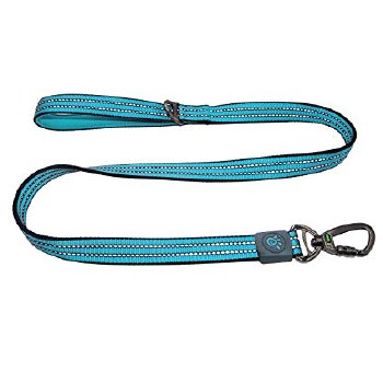 Vario 4ft Leash Large Turqoise