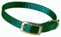 Hamilton Single Thick Nylon Deluxe Dog Collar, 10 inch, Green