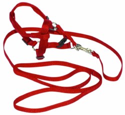 Hamilton Adjustable Puppy and Cat Harness and Lead, 3/8 inch thick x 10-16 inch chest, 4ft Lead, Red