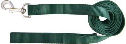 Hamilton Single Thick Deluxe Nylon Lead with Swivel Snap, 6 feet Long, Green