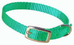 Hamilton Single Thick Nylon Deluxe Dog Collar, 12 inch, Green