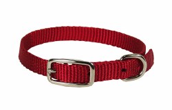 Hamilton Single Thick Nylon Deluxe Dog Collar, 14 inch, Red