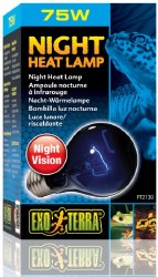 Exo Terra Night Heat Lamp, 75 Watt