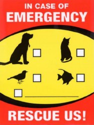 Emergency Rescue Decal 2pk