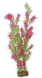 GloFish Green/Pink Plant XL