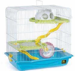 Medium Hamster Haven