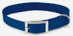 3/4 inch x 18 inch Collar Blue