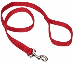 6ft Training Lead Red
