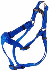 Harness 20-30 inch Blue