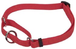 Coastal 1 inch x 18-26 inch Adjustable Collar Red