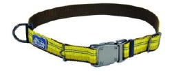 Coastal 1 inch Reflective Adjustable Collar Goldenrod Medium