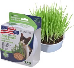 Van Ness Oat Garden Kit