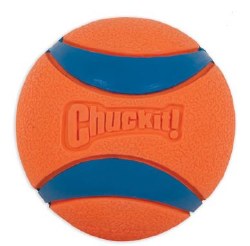 Petmate Chuckit! Ultra Ball, Dog Toy, Orange, Large