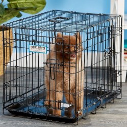 Petmate Precision 2 Door Crate 24 inch x 18 inch x 19 inch