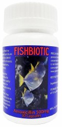 Durvet Fishbiotic Amoxicillin Capsules, 500mg, 30 Count