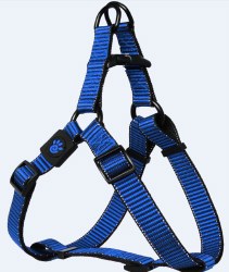 3/4 inch x 21-30 inch Martini Harness Blue