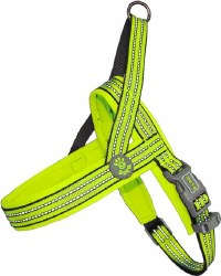 Vario Neoprene Harness Large Lime