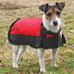 Alpine Coat, Red and Black, Extra Small