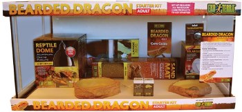 Exo Terra Bearded Dragon Kit