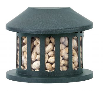 Audubon Squirrel Feeder, Green, 4lb Capacity