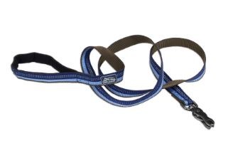 Reflective Leash 1 inch x 6 inch With Scissor Snap Sapphire