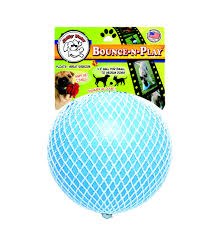 Jolly Pets Bounce n Play Ball Dog Toy, Blueberry, Large, 8 inch