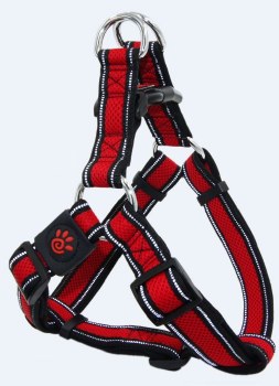 1 inch x 20-28 inch Athletica Harness Maroon