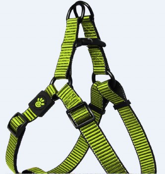 1 inch x 26-39 inch Martini Harness Lime