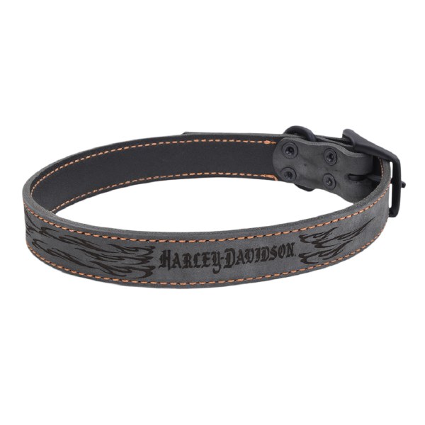 harley davidson collar