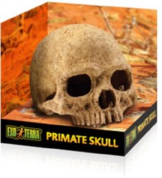 Exo Terra Primate Skull