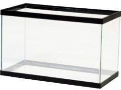 Aqueon Standard Rectangular Aquarium, Black, 10 Gallon, 20 x 10 x 12 inch