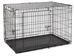 Petmate Precision 2 Door Crate 48 inch x 30 inch x 32 inch