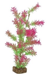 GloFish Green/Pink Plant Lg